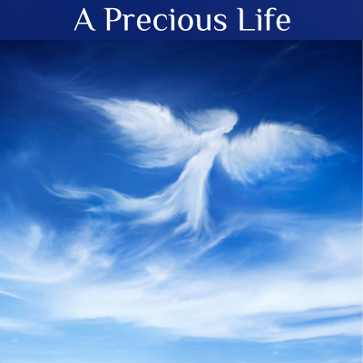 A precious Life