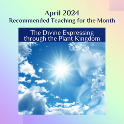 April 2024 recommended teaching-The Divine Expressing through the Plant Kingdom