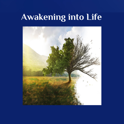 Awakening into Life