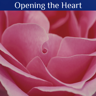 Opening the Heart