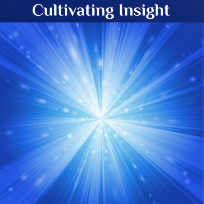 Cultivating Insight