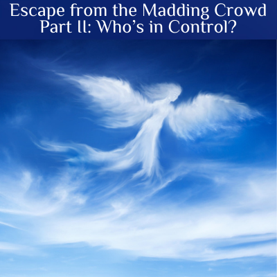 Escape from the Madding Crowd Part 2: Who's in Control?