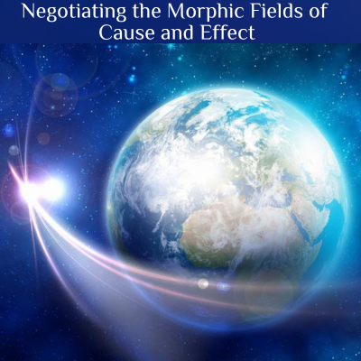 Negotiating the Morphic Fields of Cause and Effect