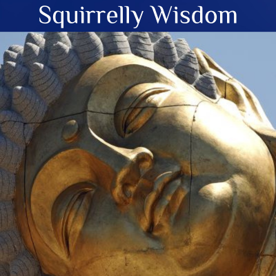 Squirrelly Wisdom