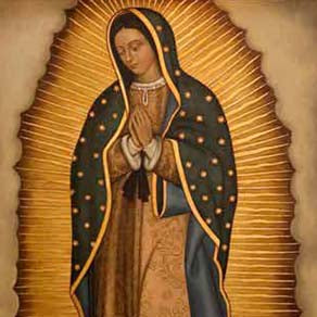 lady-of-guadalupe-image image